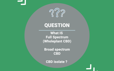 CBD Buying Guide UK comparing Full Spectrum, Broad Spectrum and CBD Isolate